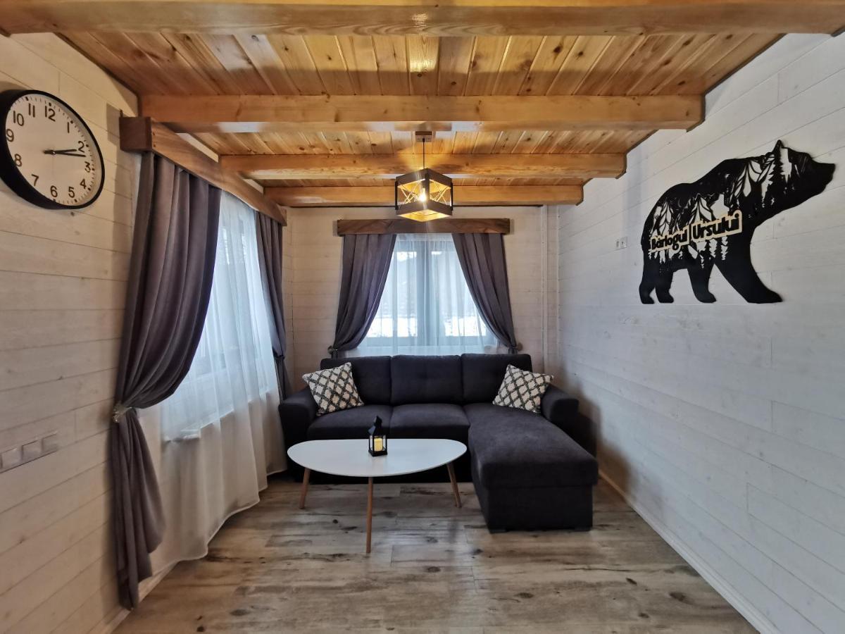 Bear'S Lair Chalet Porumbacu de Sus Εξωτερικό φωτογραφία