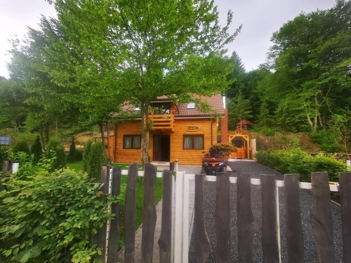 Bear'S Lair Chalet Porumbacu de Sus Εξωτερικό φωτογραφία