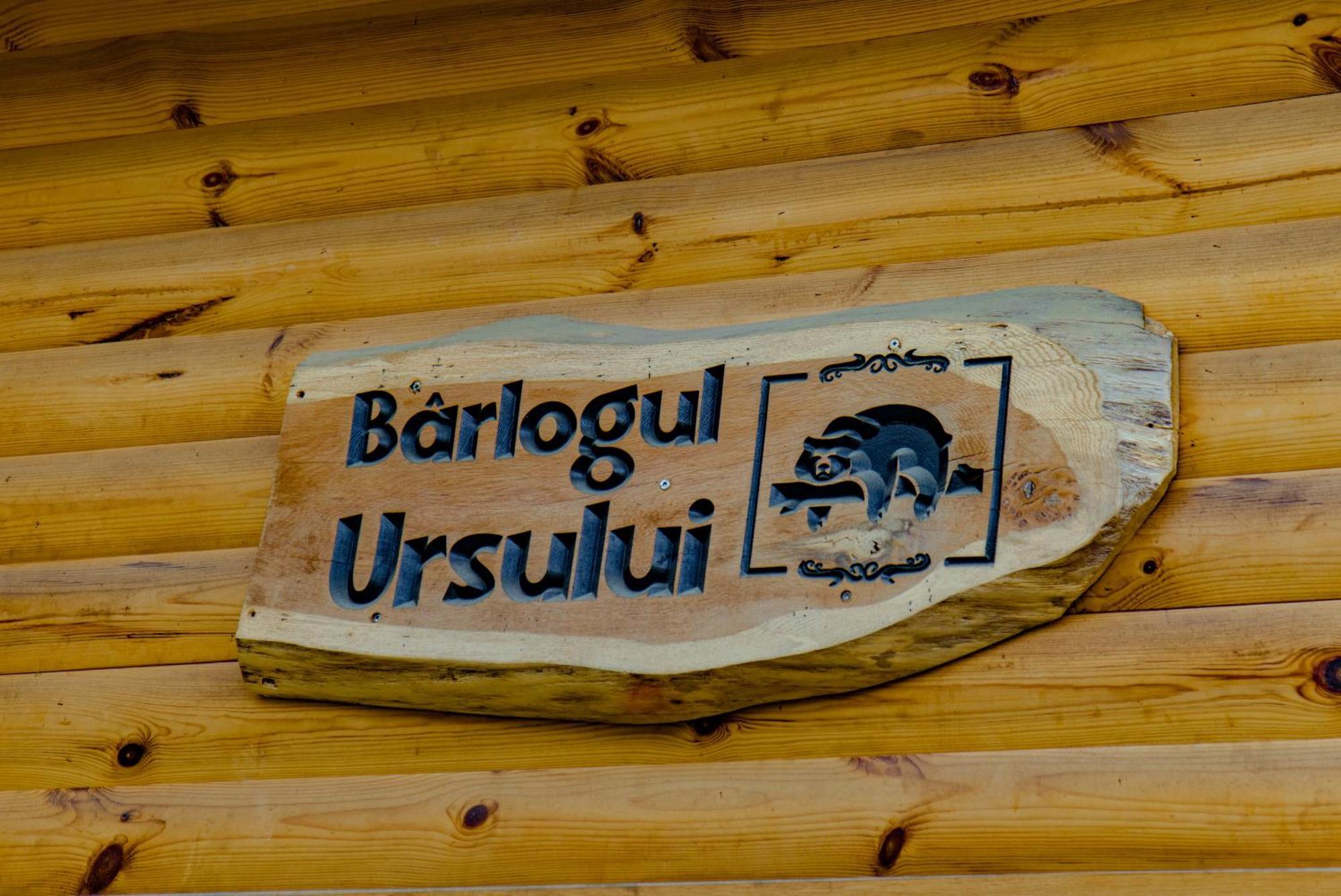 Bear'S Lair Chalet Porumbacu de Sus Εξωτερικό φωτογραφία
