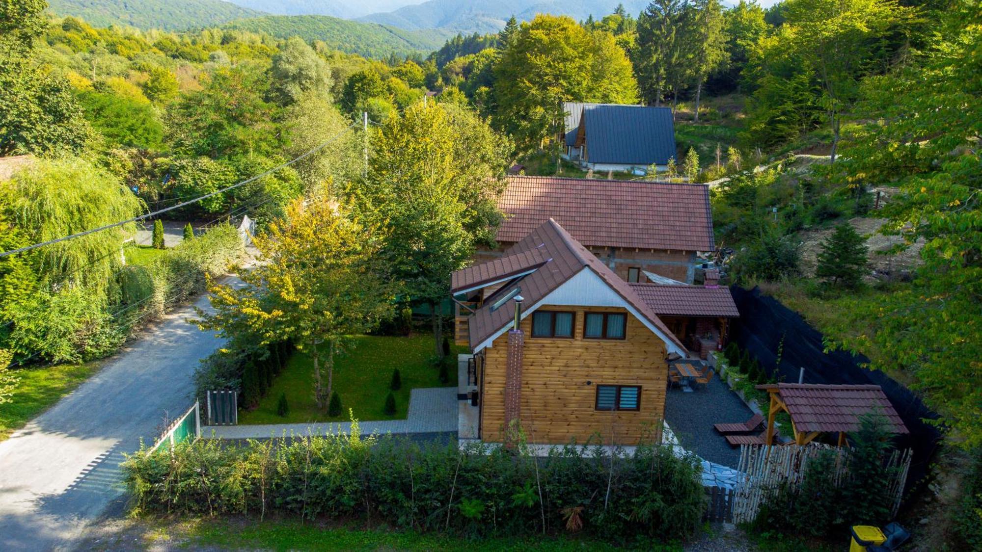 Bear'S Lair Chalet Porumbacu de Sus Εξωτερικό φωτογραφία