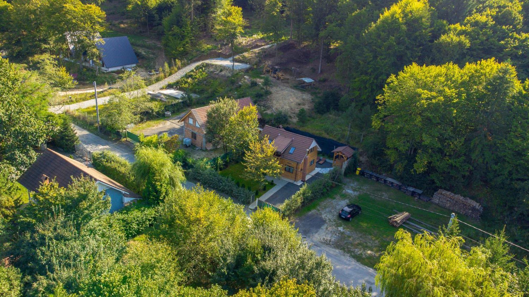 Bear'S Lair Chalet Porumbacu de Sus Εξωτερικό φωτογραφία