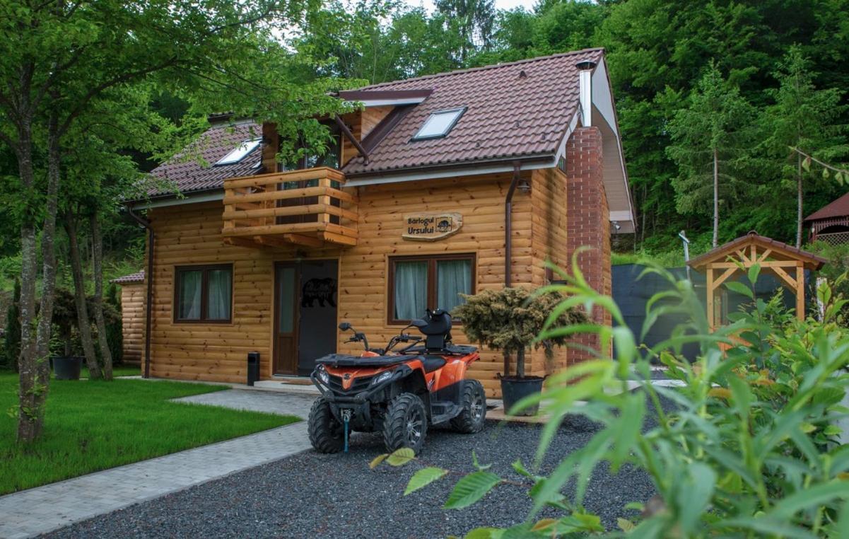 Bear'S Lair Chalet Porumbacu de Sus Εξωτερικό φωτογραφία